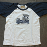 WIN_20151031_12_23_33_Pro
